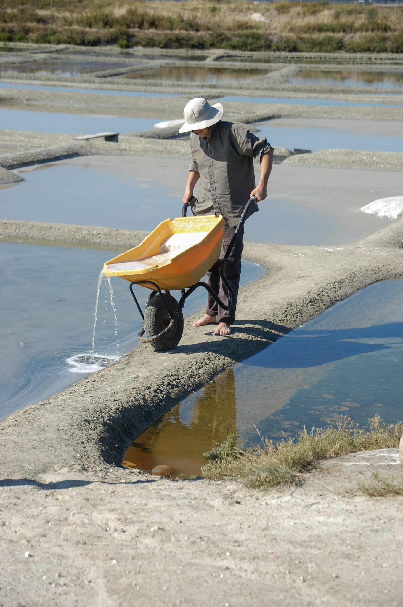 A worker guides a yellow wheelbarrow containing salt along a narrow earthen division between water-filled basins.